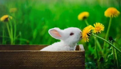 best365登录网页版-惺惺相惜,泰山队队长王大雷赛后主动安慰国安球员李磊